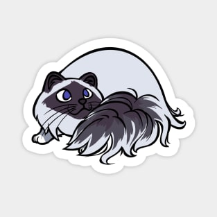 All Curled Up--Birman Style Sticker